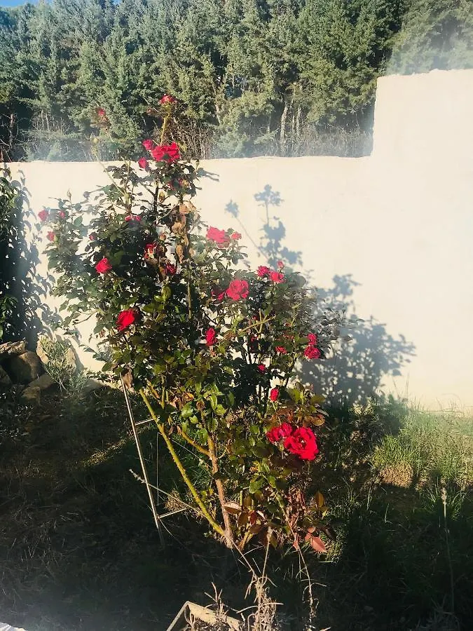 Bed and Breakfast Chambres D'Hotes Les Oliviers - Μαρινιάν Γαλλία
