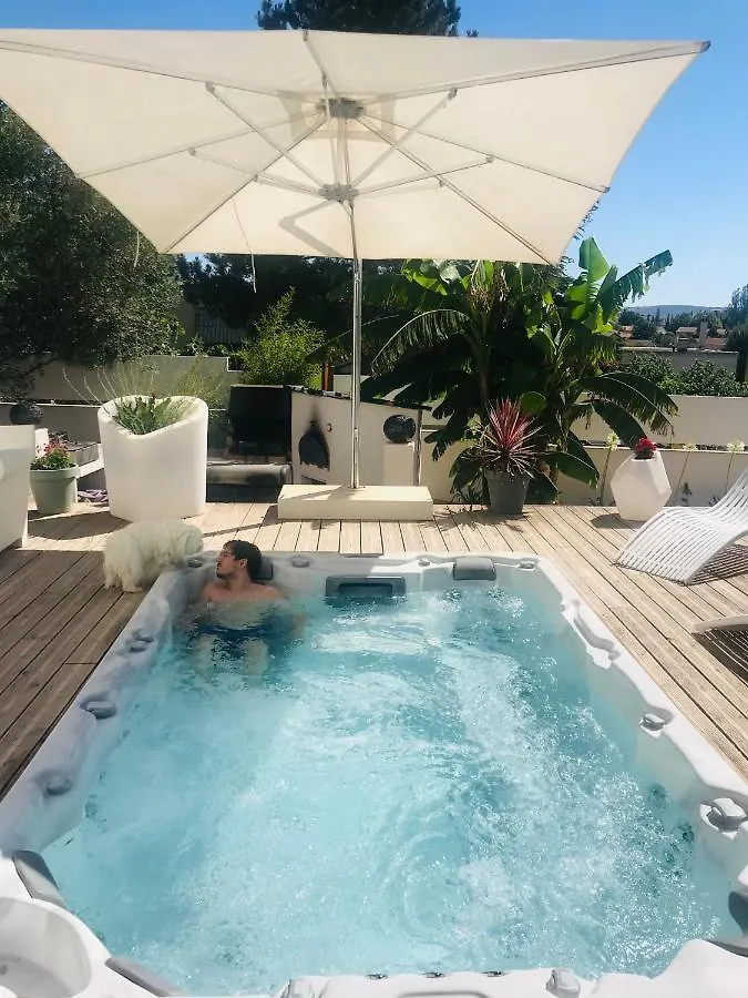Bed & Breakfast Chambres D'Hotes Les Oliviers - Marignane France