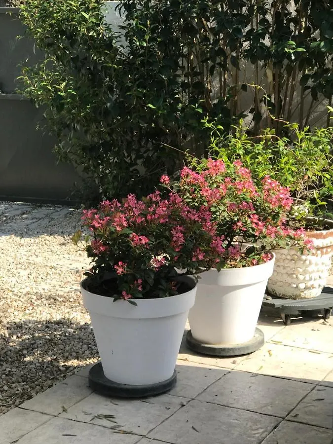 Bed and breakfast Chambres D'Hotes Les Oliviers - Marignane Francia