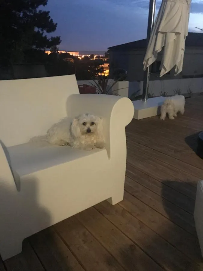 Chambres D'Hotes Les Oliviers - Marignane 0*,