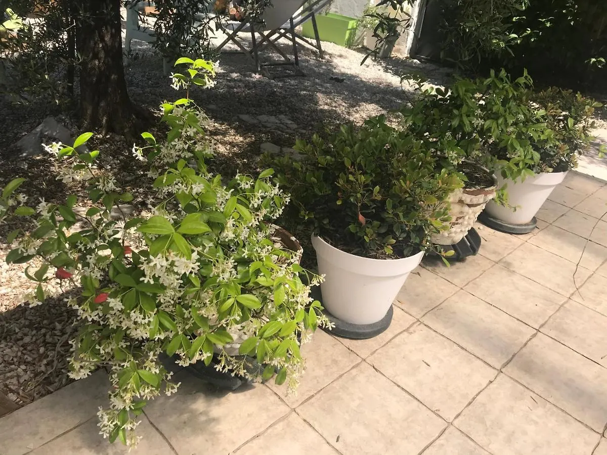 Chambres D'Hotes Les Oliviers - Marignane